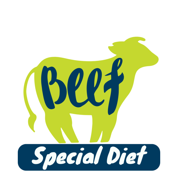 Beef & Vegetable Casserole (Special Diet)