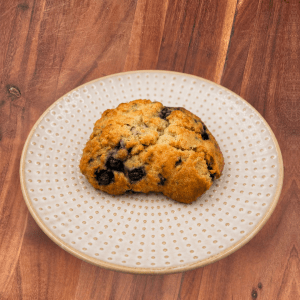 Blueberry Scone V VV (14107)
